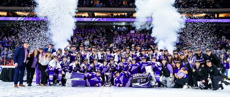 Minnesota Frost - Banner