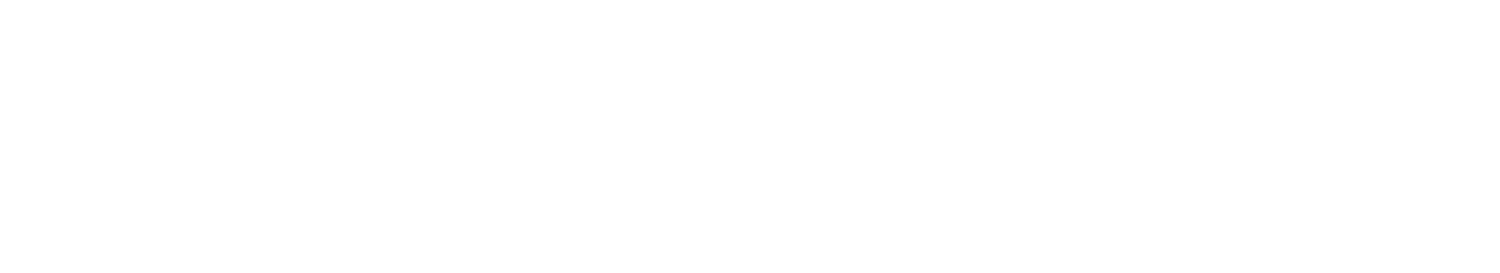 The Coaches Site Logo